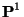 ${\bf P}^1$